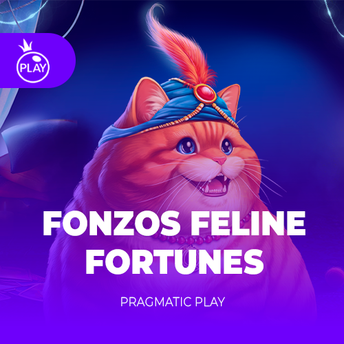 Fonzo’s Feline Fortunes