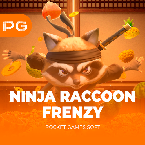 Ninja Raccoon Frenzy